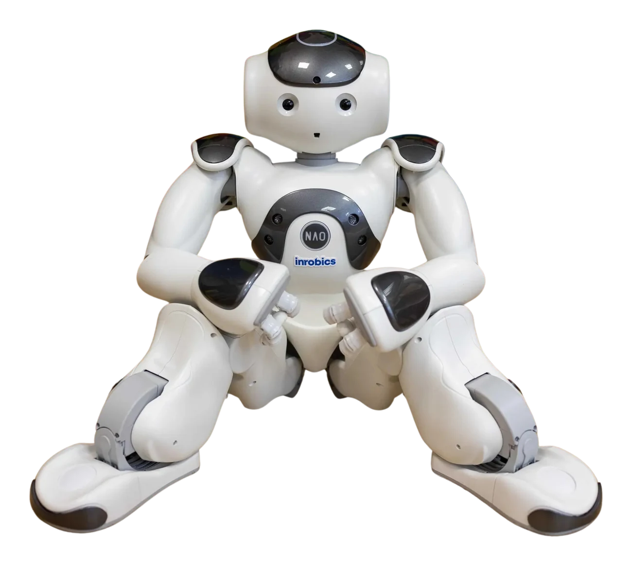 Humanoidní sociální robot NAO